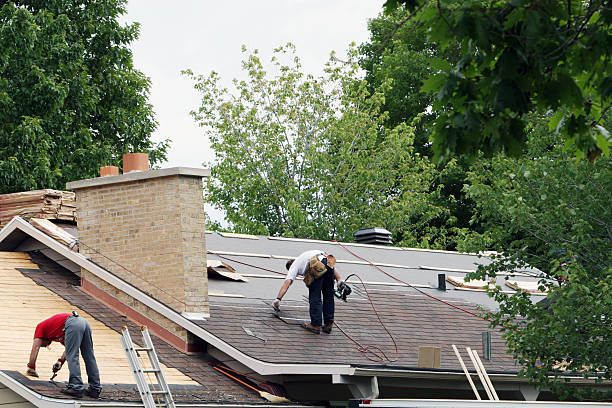Best Storm Damage Roof Repair  in Leadville North, CO
