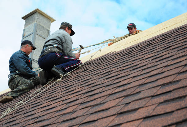 Best Tile Roofing Contractor  in Leadville North, CO